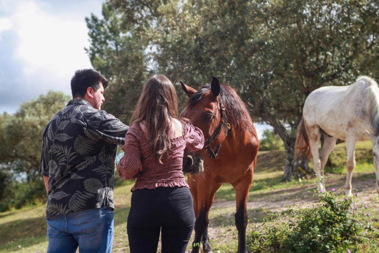 Tancos Quinta Ribeiro Tanquinhosゲストハウス エクステリア 写真