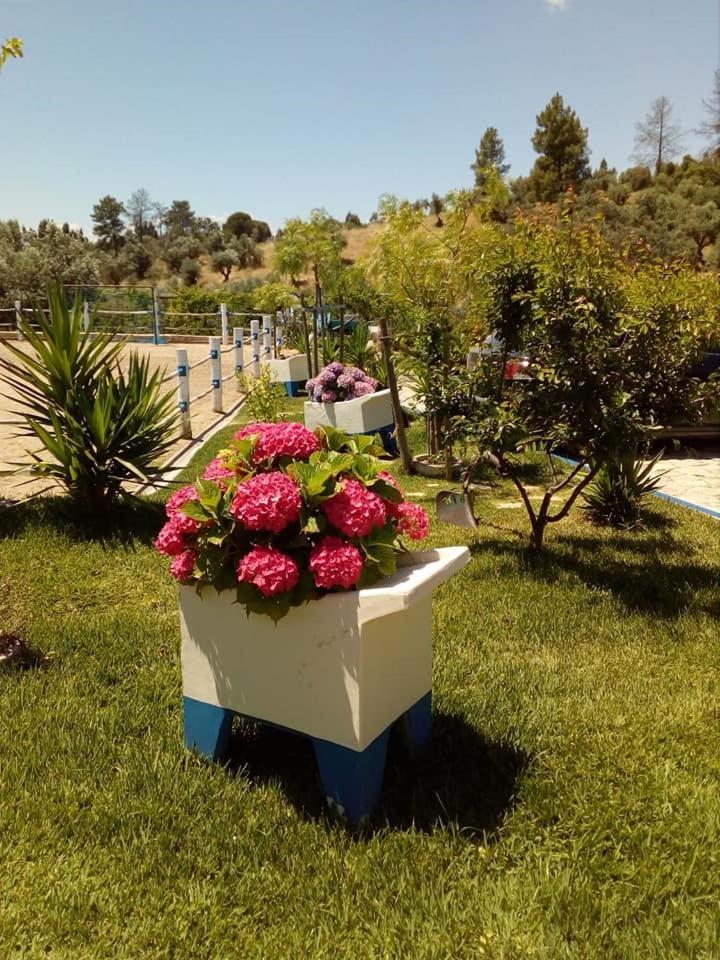 Tancos Quinta Ribeiro Tanquinhosゲストハウス エクステリア 写真