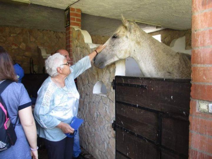 Tancos Quinta Ribeiro Tanquinhosゲストハウス エクステリア 写真
