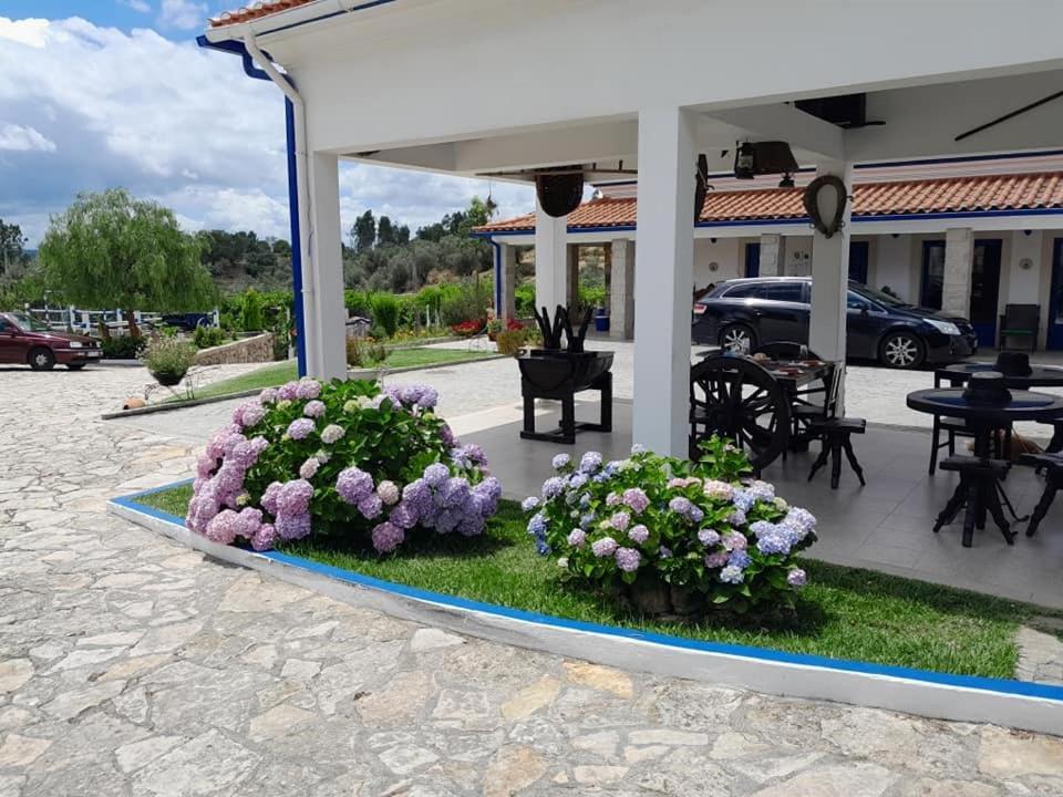 Tancos Quinta Ribeiro Tanquinhosゲストハウス エクステリア 写真