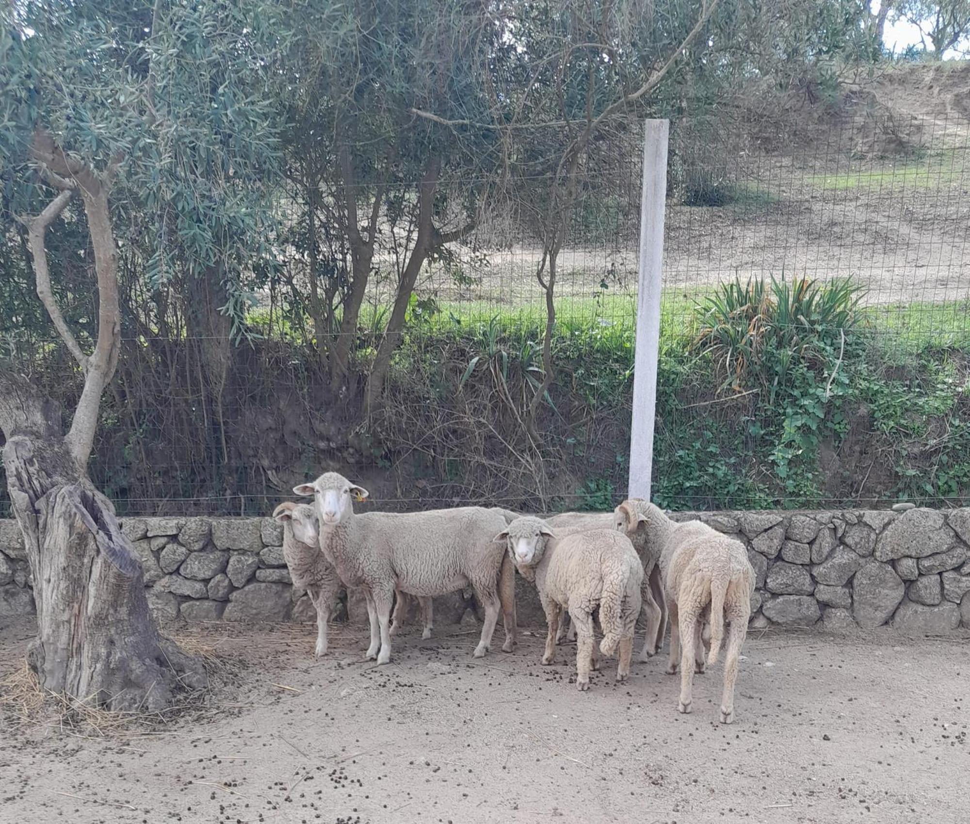 Tancos Quinta Ribeiro Tanquinhosゲストハウス エクステリア 写真