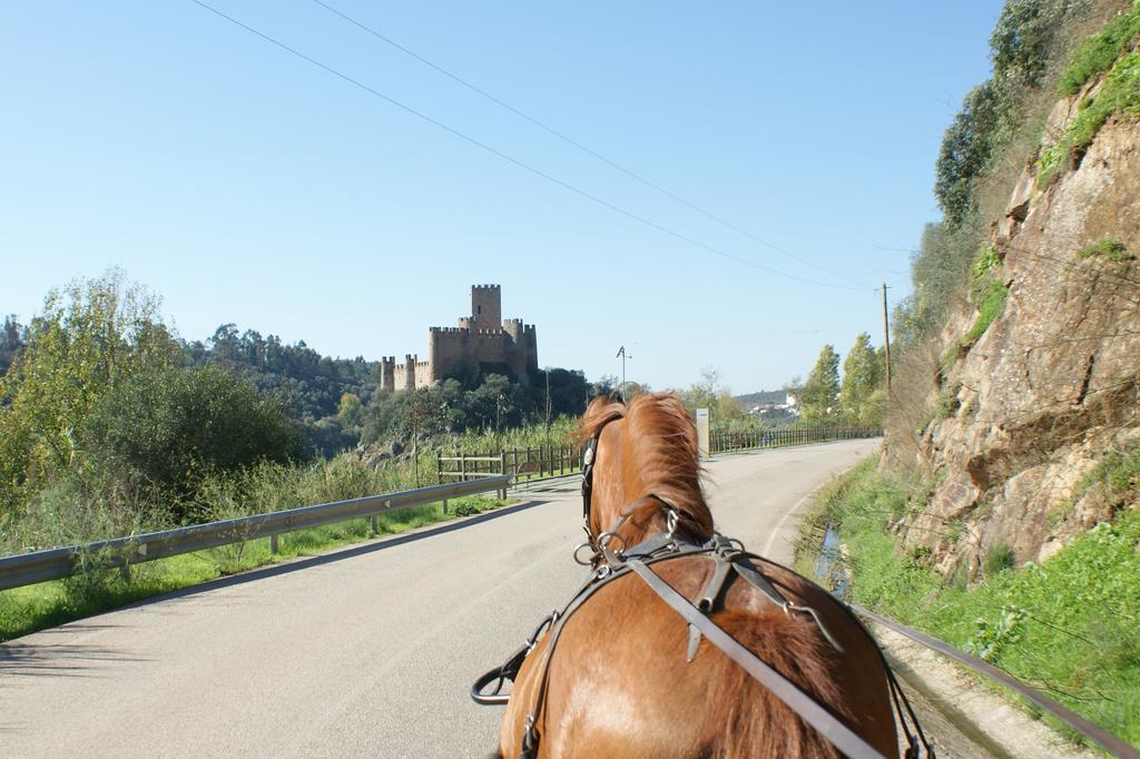 Tancos Quinta Ribeiro Tanquinhosゲストハウス エクステリア 写真