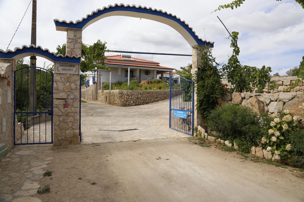 Tancos Quinta Ribeiro Tanquinhosゲストハウス エクステリア 写真
