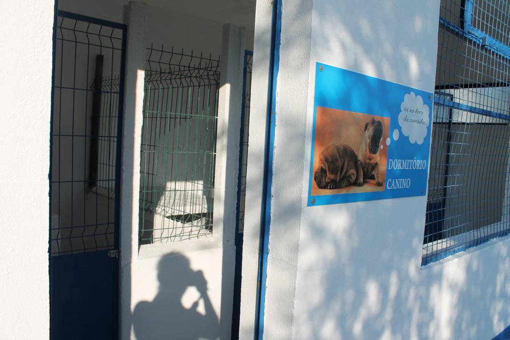 Tancos Quinta Ribeiro Tanquinhosゲストハウス エクステリア 写真