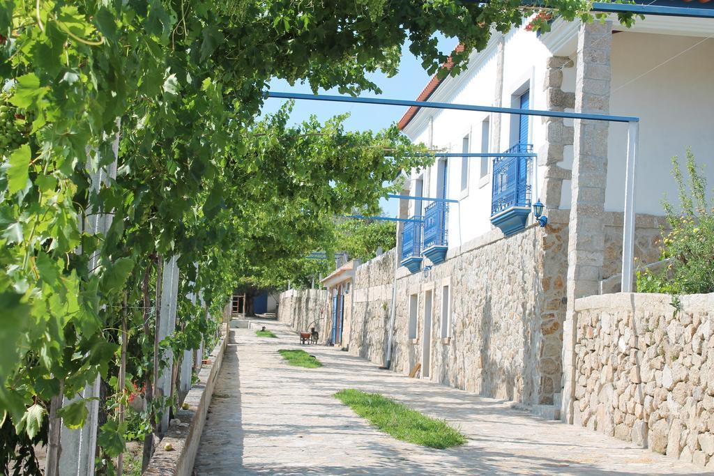 Tancos Quinta Ribeiro Tanquinhosゲストハウス エクステリア 写真