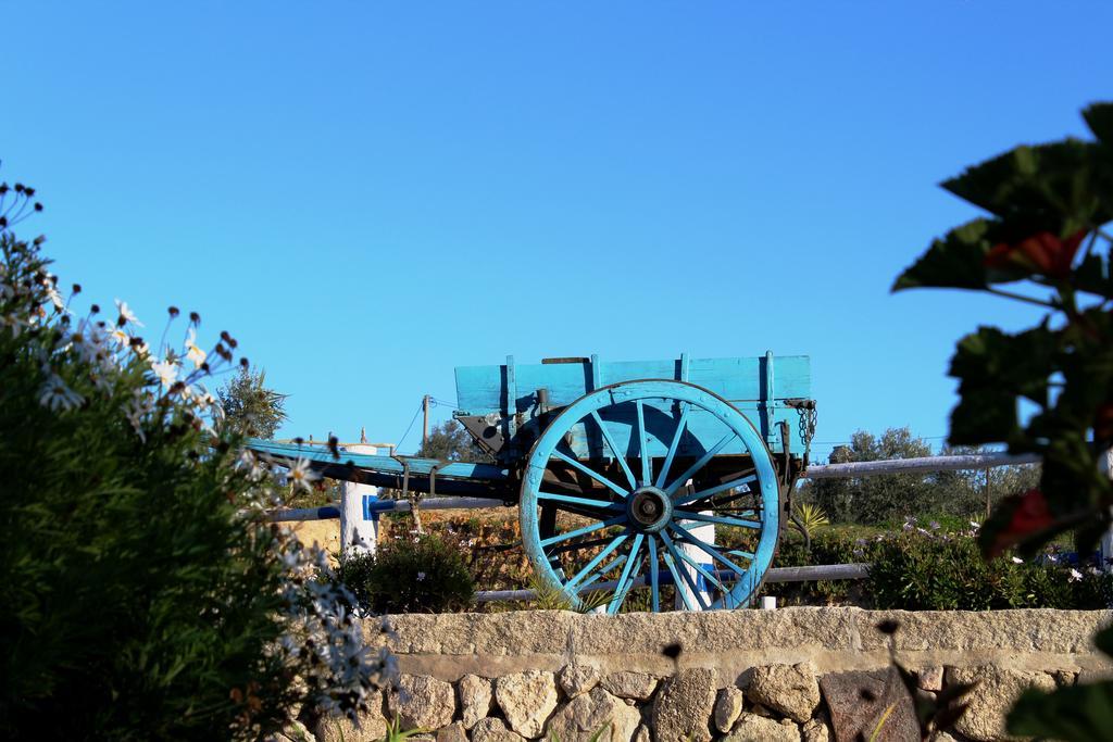 Tancos Quinta Ribeiro Tanquinhosゲストハウス エクステリア 写真