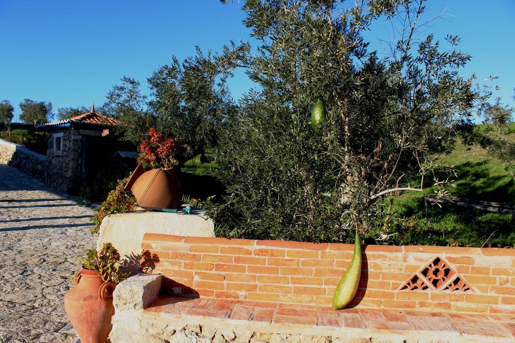 Tancos Quinta Ribeiro Tanquinhosゲストハウス エクステリア 写真