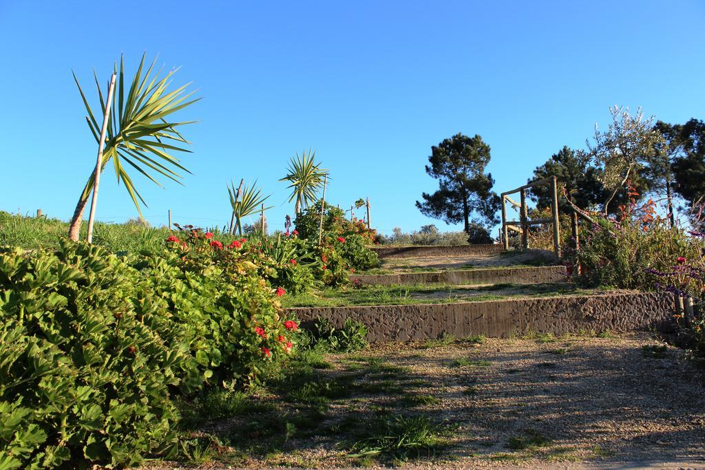 Tancos Quinta Ribeiro Tanquinhosゲストハウス エクステリア 写真
