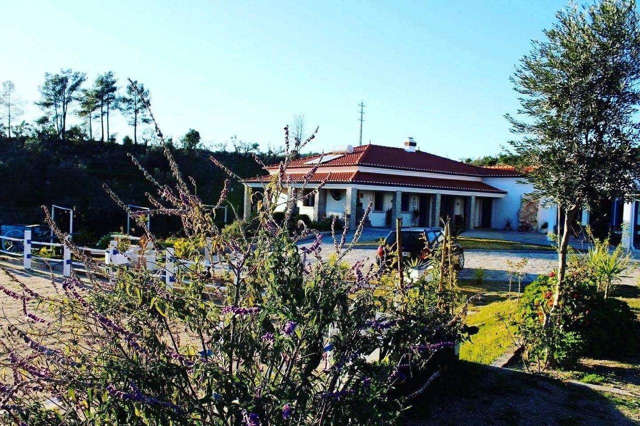 Tancos Quinta Ribeiro Tanquinhosゲストハウス エクステリア 写真