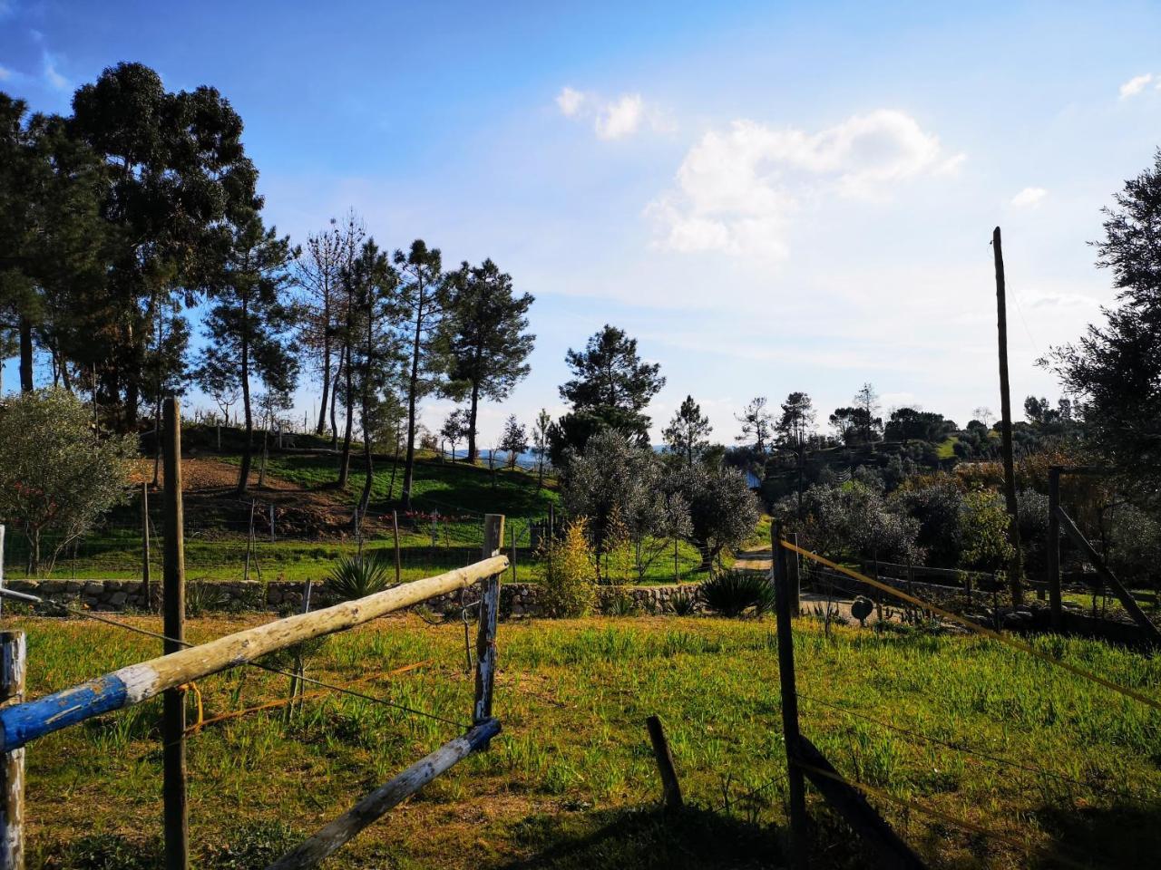 Tancos Quinta Ribeiro Tanquinhosゲストハウス エクステリア 写真