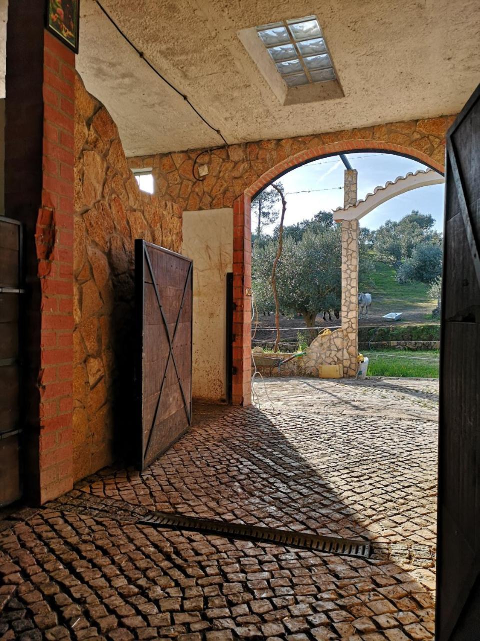 Tancos Quinta Ribeiro Tanquinhosゲストハウス エクステリア 写真