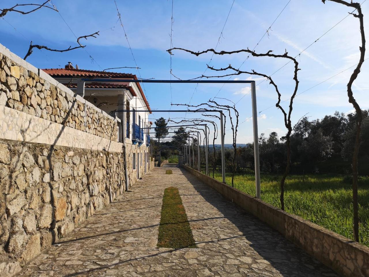 Tancos Quinta Ribeiro Tanquinhosゲストハウス エクステリア 写真
